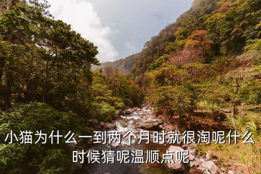 一樣淘