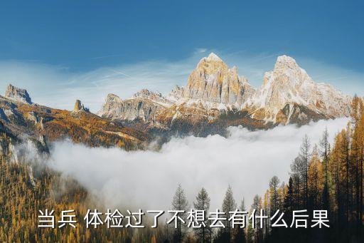  當(dāng)兵 體檢過了不想去有什么后果