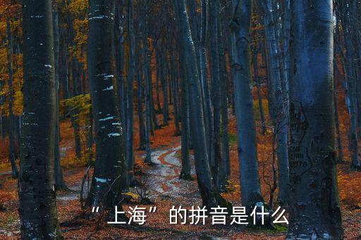 “ 上?！钡钠匆羰鞘裁? class=