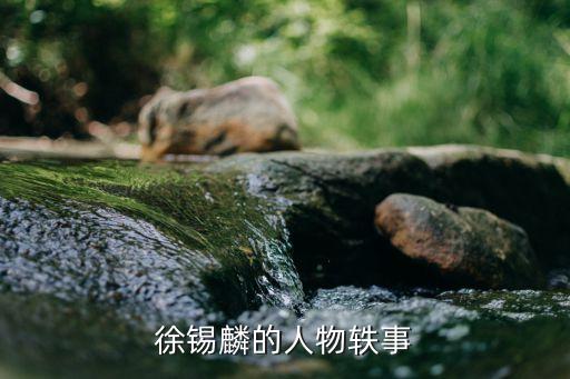 徐鳳鳴