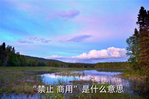 商用什么意思,萬(wàn)彩動(dòng)畫(huà)大師商用什么意思