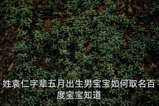 姓袁仁字輩五月出生男寶寶如何取名百度寶寶知道