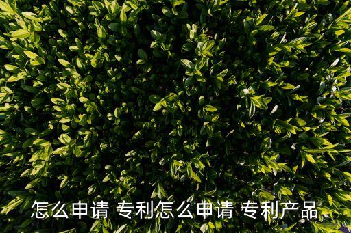 專利名稱