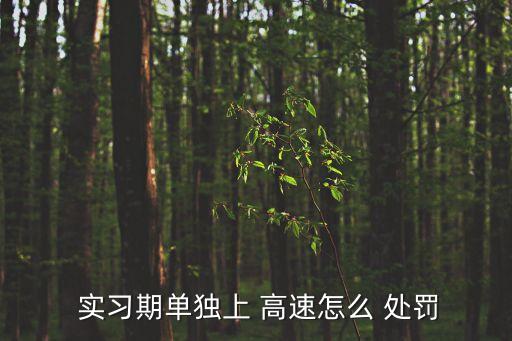 實(shí)習(xí)期單獨(dú)上 高速怎么 處罰