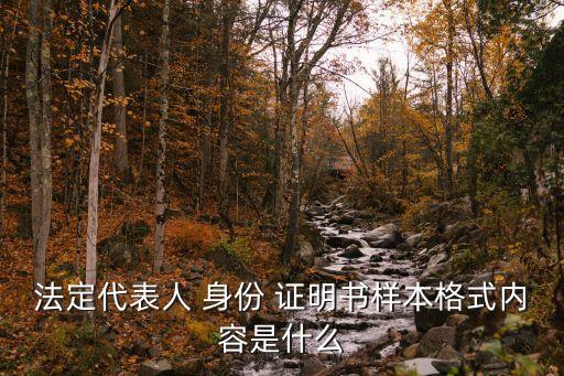 法人身份證明書,企業(yè)法人身份證明書