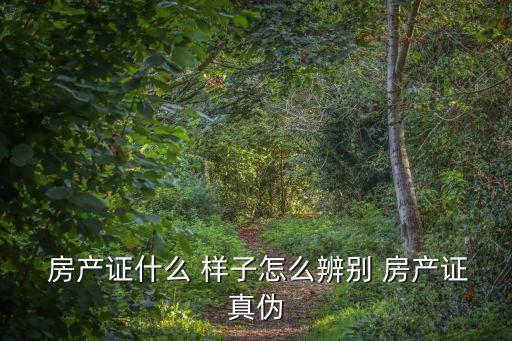 房產(chǎn)證長(zhǎng)什么樣子,個(gè)人房產(chǎn)信息網(wǎng)查詢