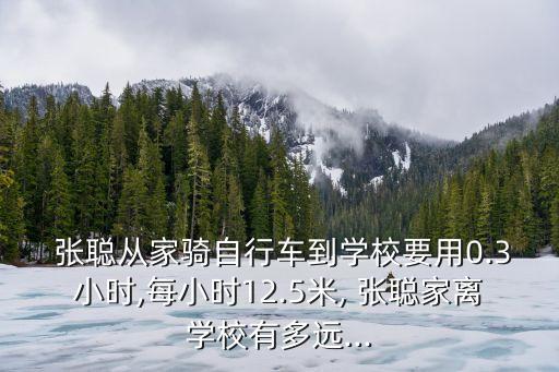 張聰