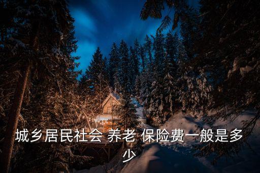 城鄉(xiāng)居民社會 養(yǎng)老 保險費一般是多少