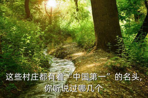 富有村