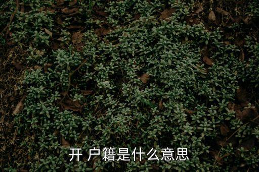 開戶籍