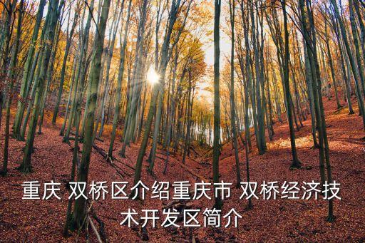 重慶 雙橋區(qū)介紹重慶市 雙橋經(jīng)濟(jì)技術(shù)開發(fā)區(qū)簡介