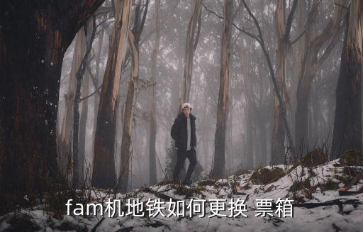 票箱,自制投票箱