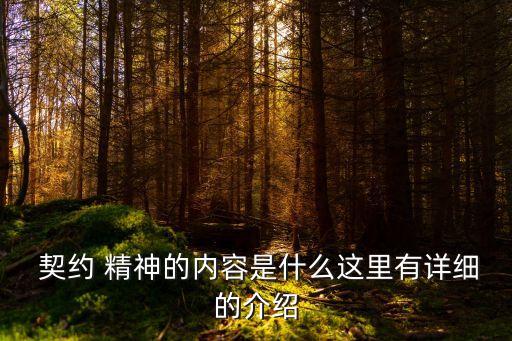  契約 精神的內(nèi)容是什么這里有詳細(xì)的介紹