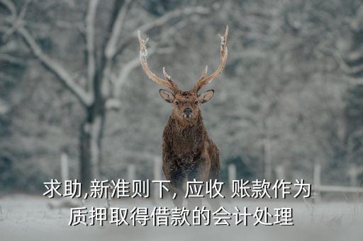 求助,新準則下, 應(yīng)收 賬款作為 質(zhì)押取得借款的會計處理