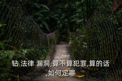 法律漏洞,侵犯?jìng)€(gè)人信息罪的法律漏洞