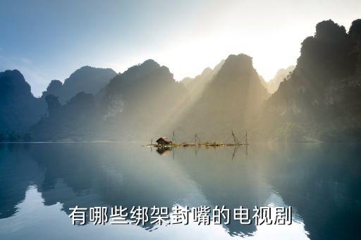 有哪些綁架封嘴的電視劇