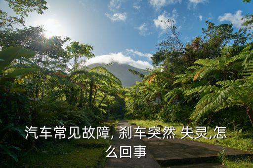 剎車失靈