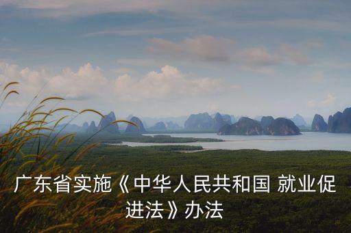 就業(yè)促進(jìn)法