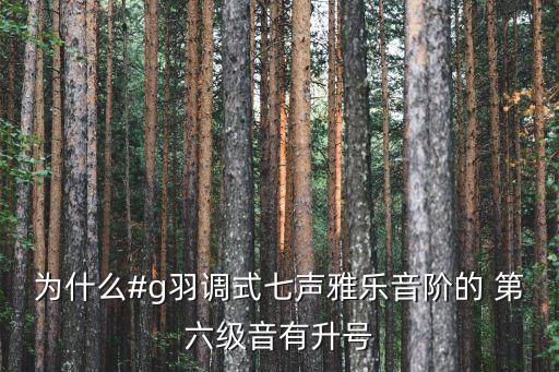 第六級