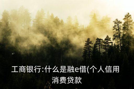 工商銀行:什么是融e借(個人信用 消費貸款