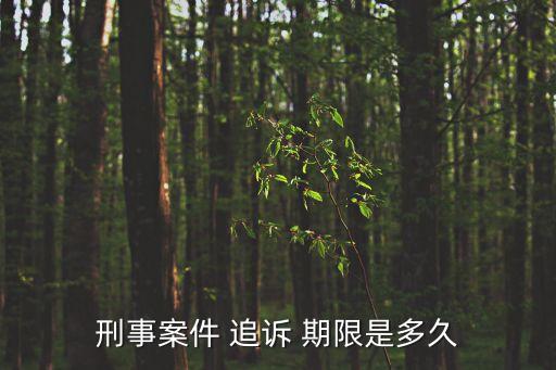 刑法追訴時效期限