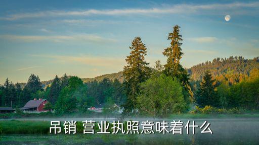 吊銷營(yíng)業(yè)執(zhí)照