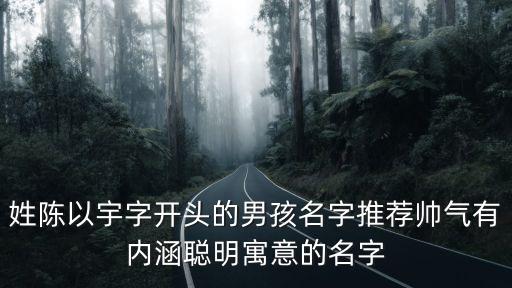 姓陳以宇字開(kāi)頭的男孩名字推薦帥氣有內(nèi)涵聰明寓意的名字