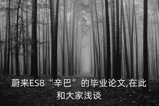 蔚來ES8“辛巴”的畢業(yè)論文,在此和大家淺談