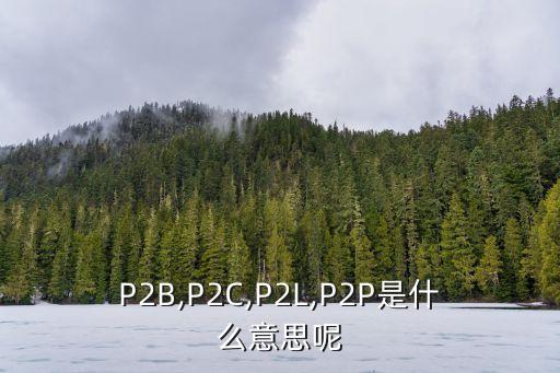 P2B,P2C,P2L,P2P是什么意思呢