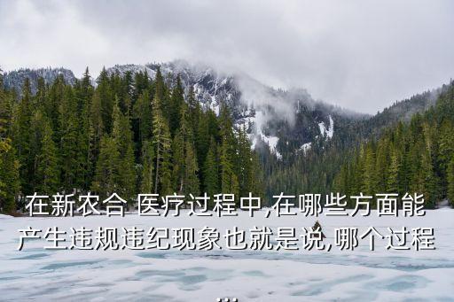 在新農(nóng)合 醫(yī)療過程中,在哪些方面能產(chǎn)生違規(guī)違紀(jì)現(xiàn)象也就是說,哪個過程...