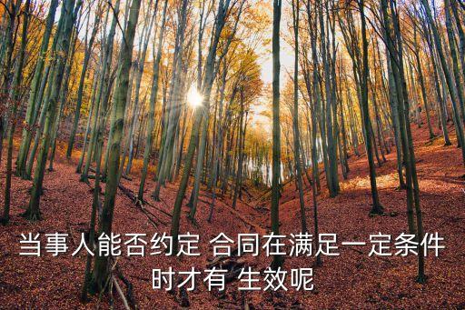 當事人能否約定 合同在滿足一定條件時才有 生效呢
