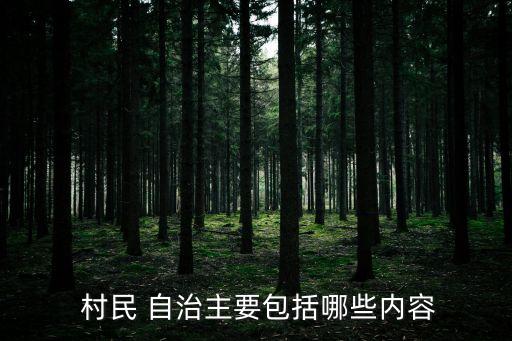 村民自治
