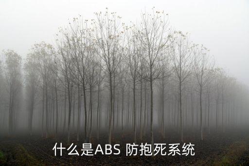 什么是ABS 防抱死系統(tǒng)