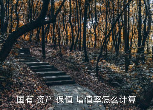 國有 資產(chǎn) 保值 增值率怎么計算