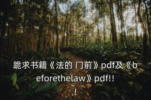 跪求書籍《法的 門前》pdf及《beforethelaw》pdf!!!