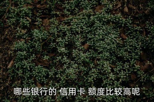 什么信用卡額度高,名下有車辦什么信用卡額度高