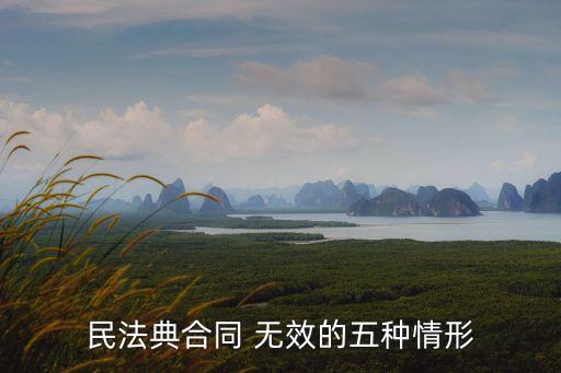 民法典合同 無效的五種情形