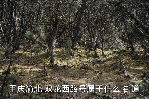 雙龍湖街道,重慶渝北區(qū)雙龍湖街道