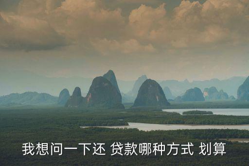 我想問一下還 貸款哪種方式 劃算