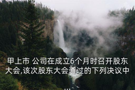 甲公司