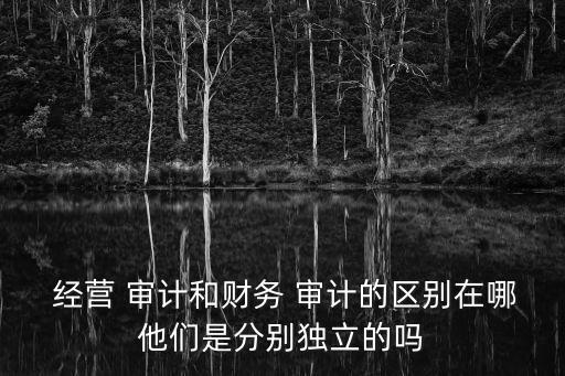  經(jīng)營(yíng) 審計(jì)和財(cái)務(wù) 審計(jì)的區(qū)別在哪他們是分別獨(dú)立的嗎