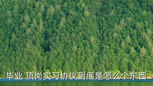 什么叫頂崗合同法律依據(jù)