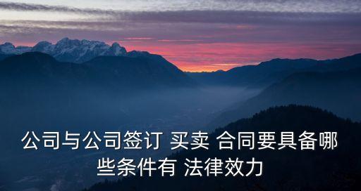 公司與公司簽訂 買賣 合同要具備哪些條件有 法律效力