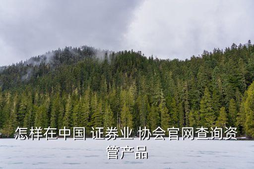 怎樣在中國 證券業(yè) 協(xié)會官網(wǎng)查詢資管產(chǎn)品