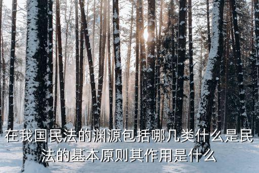 在我國民法的淵源包括哪幾類什么是民法的基本原則其作用是什么