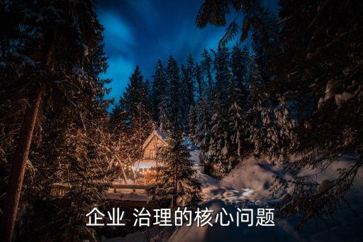 公司治理機制,國有企業(yè)公司治理機制