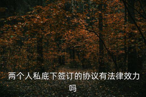  兩個(gè)人私底下簽訂的協(xié)議有法律效力嗎