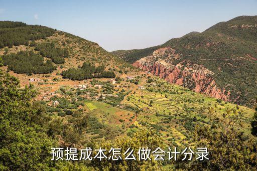  預提成本怎么做會計分錄