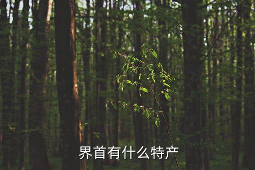 安徽省界首市