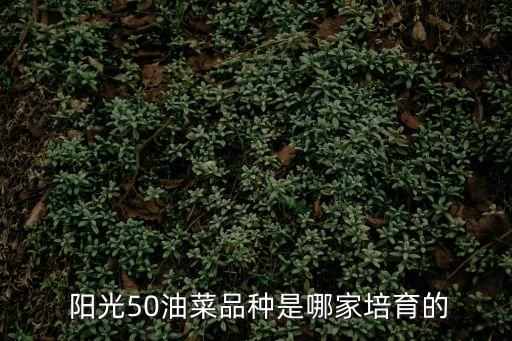  陽(yáng)光50油菜品種是哪家培育的